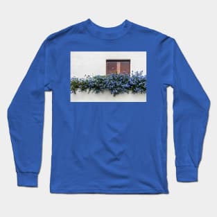Window with blue flowers Long Sleeve T-Shirt